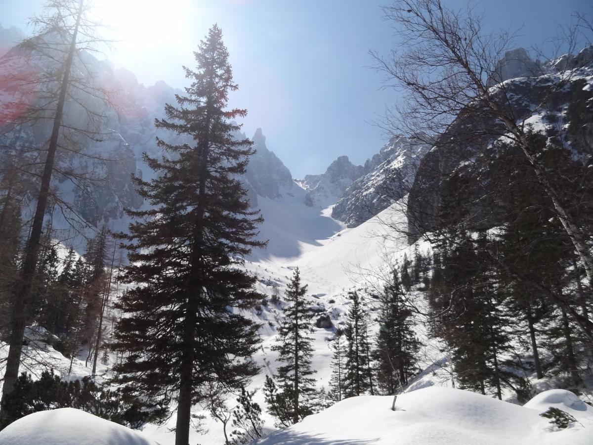 Apartmenthaus Edelweiss In Gosau Exterior photo