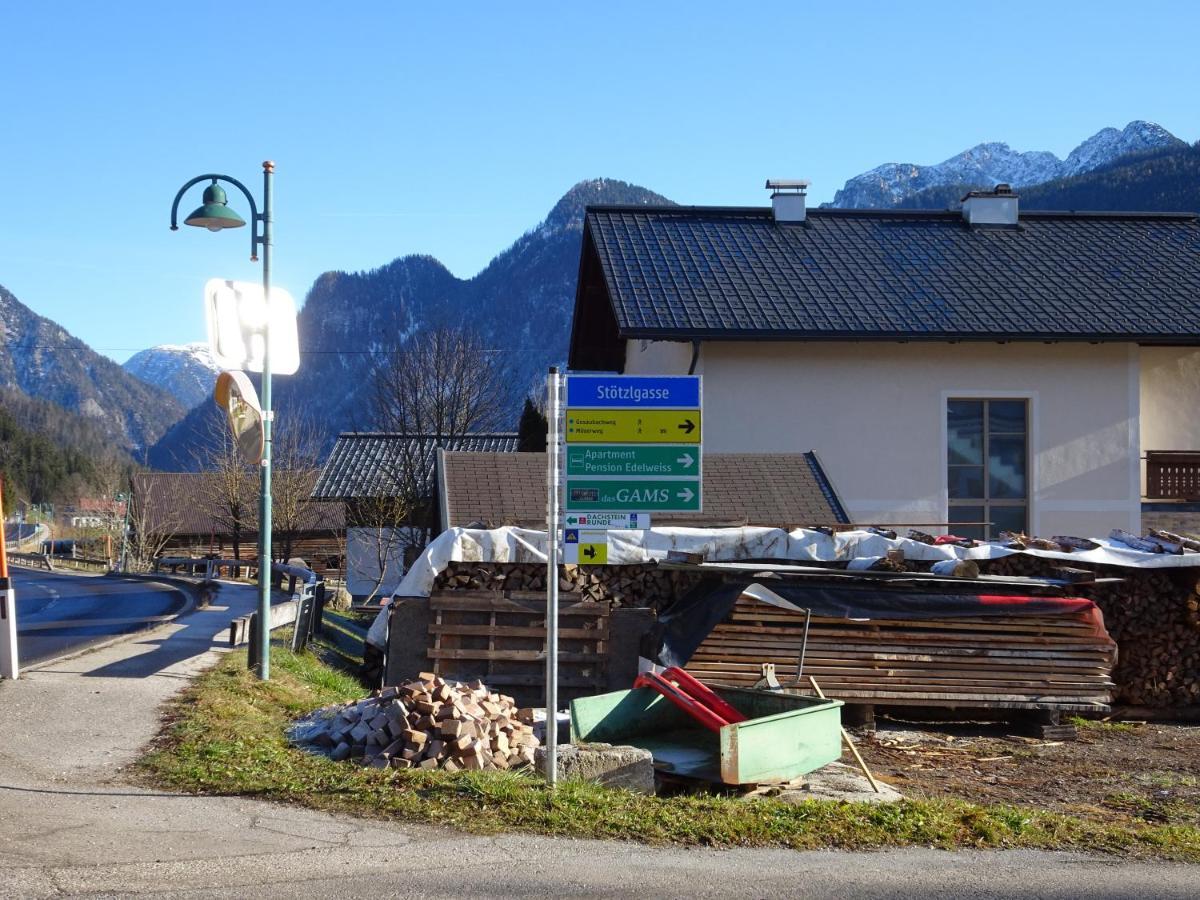 Apartmenthaus Edelweiss In Gosau Exterior photo