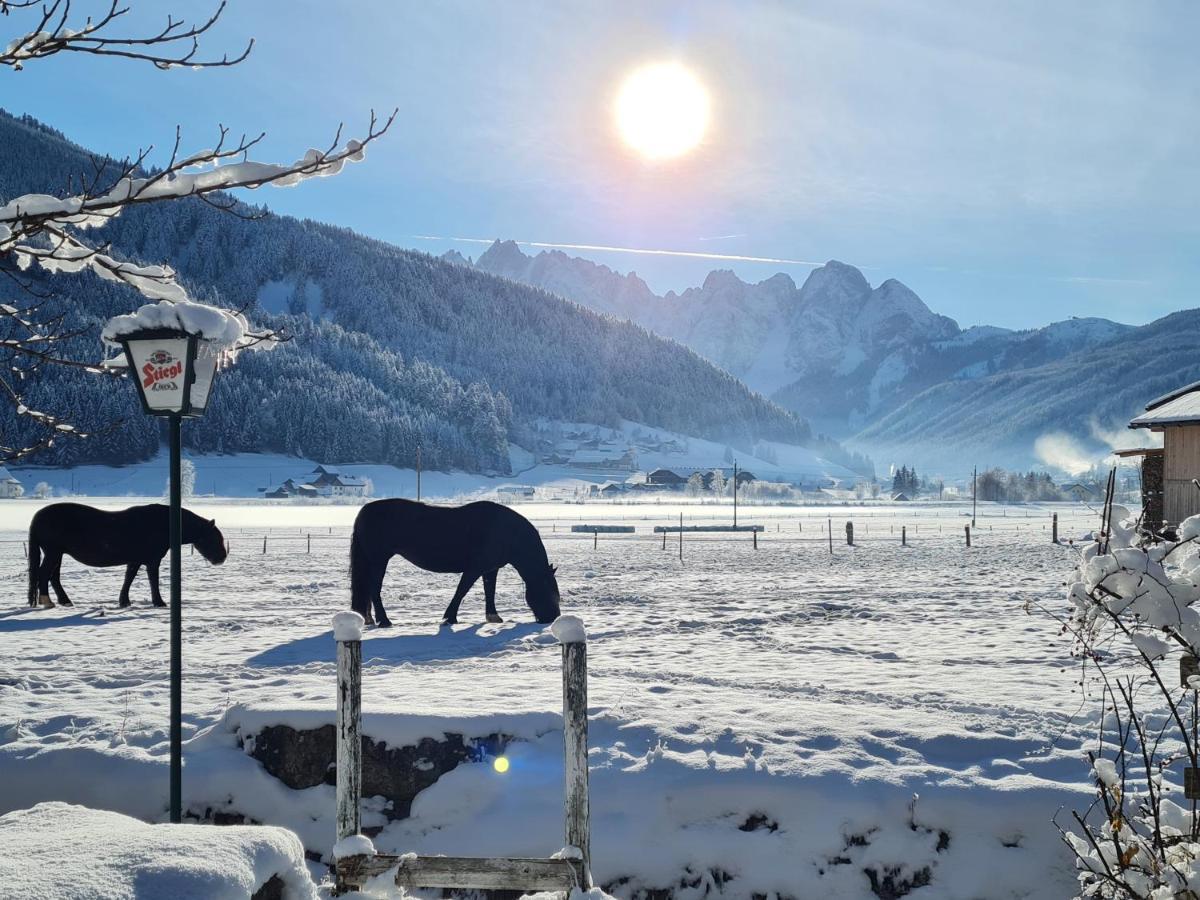 Apartmenthaus Edelweiss In Gosau Exterior photo