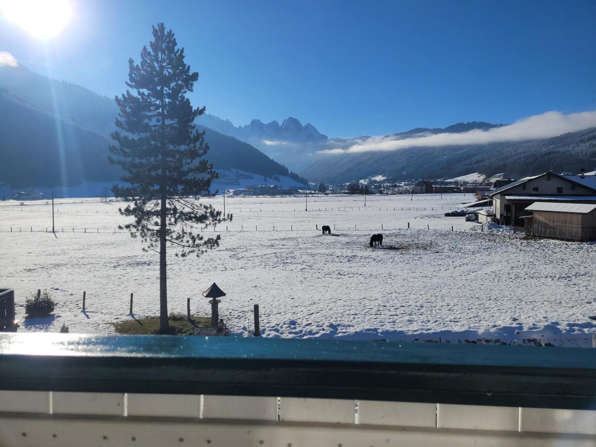 Apartmenthaus Edelweiss In Gosau Exterior photo