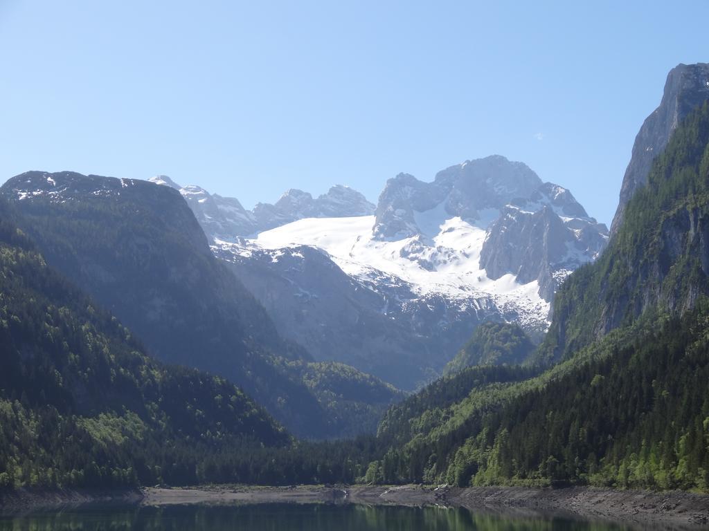 Apartmenthaus Edelweiss In Gosau Room photo